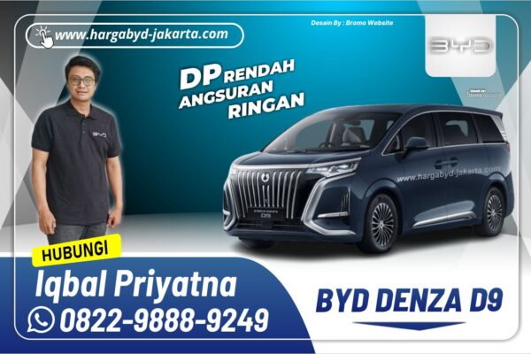 Denza D9