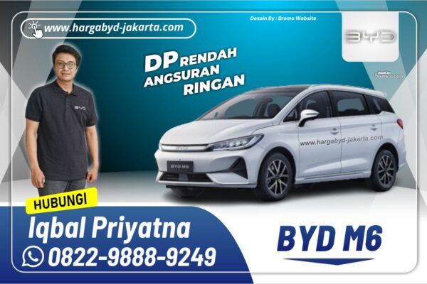 BYD M6